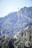 Watermark_7IMG_0877