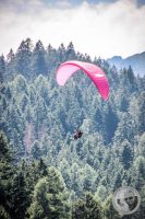 Watermark_88IMG_0969