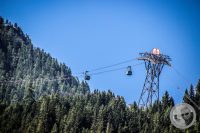 Watermark_99IMG_0981