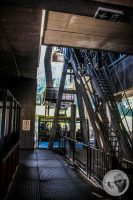 Watermark_9IMG_0879