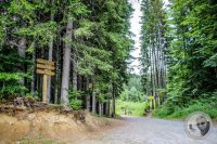 Watermark_11IMG_0349