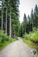 Watermark_17IMG_0355