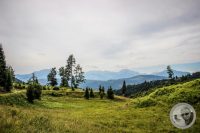 Watermark_23IMG_0359