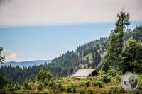 Watermark_24IMG_0360