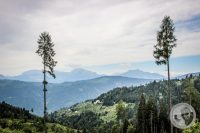 Watermark_25IMG_0361