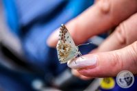 Watermark_28IMG_0365