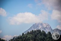 Watermark_29IMG_0366