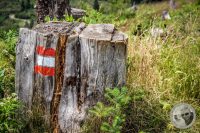 Watermark_30IMG_0367