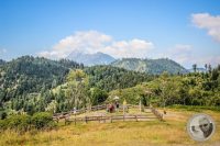 Watermark_32IMG_0369