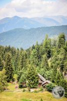 Watermark_34IMG_0371