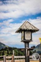 Watermark_35IMG_0372