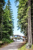 Watermark_49IMG_0385