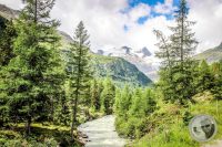 Watermark_12IMG_0399