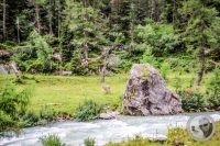 Watermark_15IMG_0402