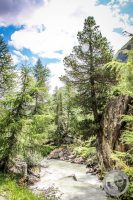 Watermark_21IMG_0408