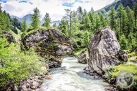 Watermark_29IMG_0416