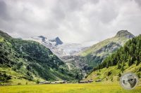 Watermark_31IMG_0418