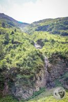 Watermark_37IMG_0423