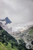 Watermark_39IMG_0425