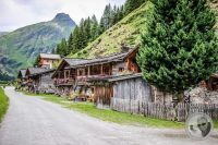Watermark_44IMG_0430