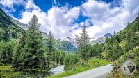 Watermark_8IMG_20260718_111550