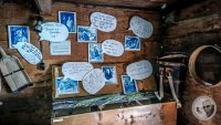 Watermark_103IMG_20260719_120354