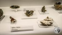 Watermark_14IMG_20260719_110519