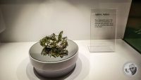 Watermark_16IMG_20260719_110549