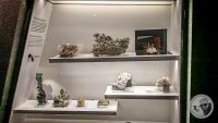 Watermark_17IMG_20260719_110620