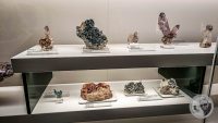 Watermark_24IMG_20260719_110831