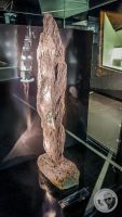 Watermark_34IMG_20260719_111147