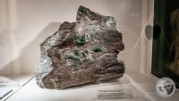 Watermark_41IMG_20260719_111253