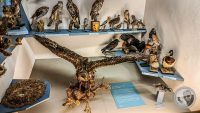 Watermark_80IMG_20260719_113220