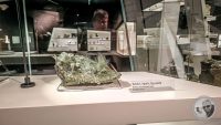Watermark_8IMG_20260719_110243