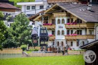 Watermark_111IMG_0561