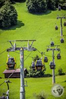 Watermark_113IMG_0563