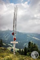 Watermark_13IMG_0456