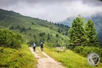 Watermark_15IMG_0458