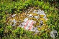 Watermark_16IMG_0459