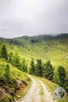 Watermark_18IMG_0461