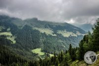 Watermark_19IMG_0462