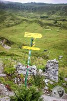 Watermark_20IMG_0463