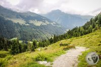 Watermark_21IMG_0464