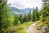 Watermark_23IMG_0466