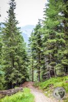 Watermark_24IMG_0467