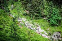 Watermark_25IMG_0468