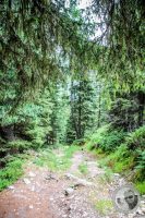 Watermark_26IMG_0469