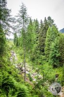 Watermark_27IMG_0470