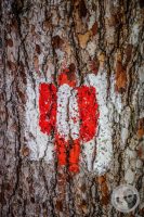 Watermark_28IMG_0471