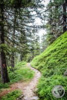Watermark_29IMG_0472